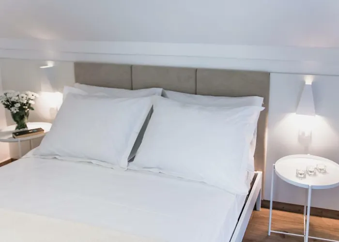 Tamara 布罗达里卡