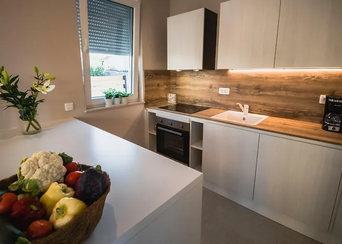 Tamara 别墅 布罗达里卡